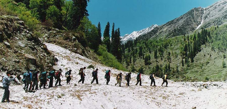 Kullu-Shimla (Iris Country) Trek