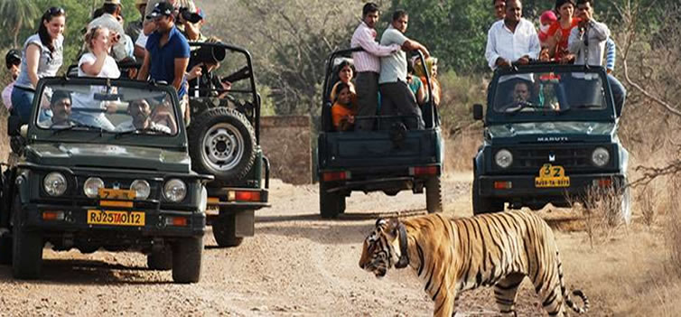 Triangle Tour Kerala