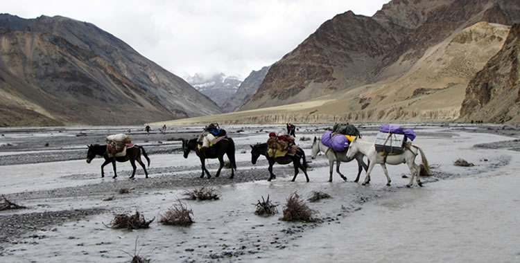 Ladakh