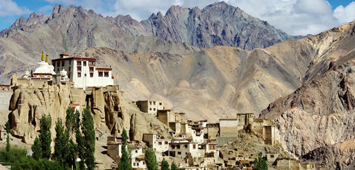 Ladakh Monastery Trek
